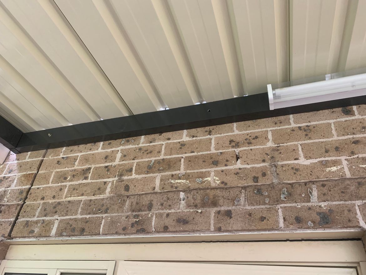 IMG_5399.jpg IMG_5399.jpg