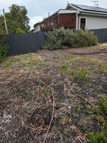 1000060009.jpg 1000060009.jpg