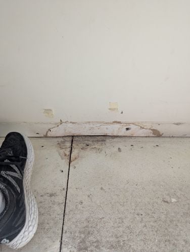 1000103060.jpg 1000103060.jpg