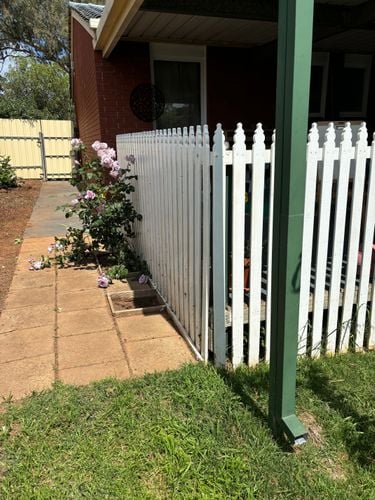 IMG_5870.jpeg IMG_5870.jpeg