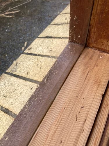 IMG_4936.jpeg IMG_4936.jpeg