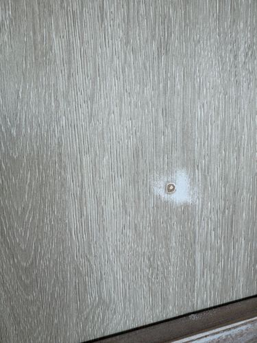 IMG_8835.jpeg IMG_8835.jpeg