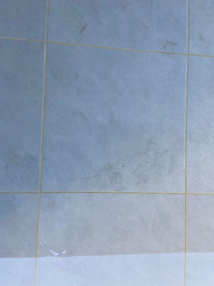 IMG_8241.JPG IMG_8241.JPG