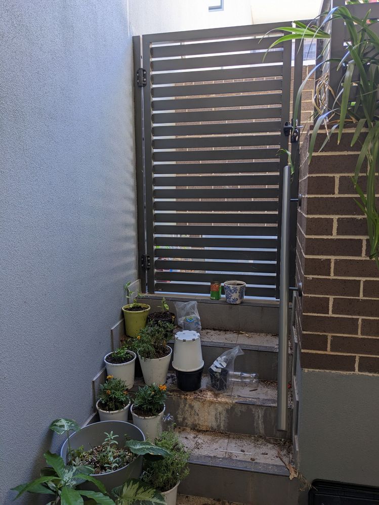 PXL_20221226_041515938.MP.jpg PXL_20221226_041515938.MP.jpg