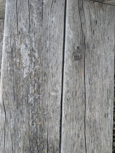 1000004772.jpg 1000004772.jpg