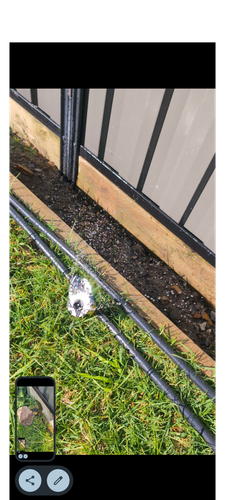 1000049863.png 1000049863.png