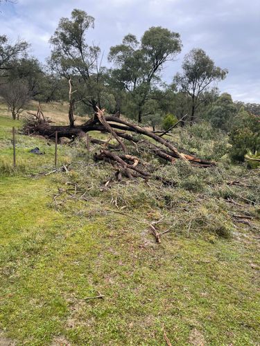 DE3ADDF2-6348-4AE0-8430-489486F917A5.jpeg DE3ADDF2-6348-4AE0-8430-489486F917A5.jpeg