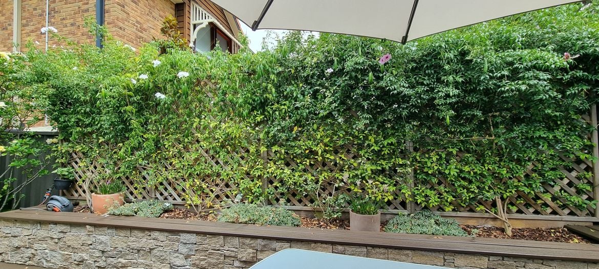 20241205_122148.jpg 20241205_122148.jpg