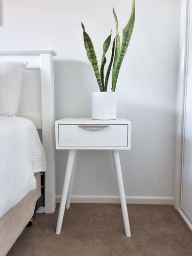 1000083333.jpg 1000083333.jpg