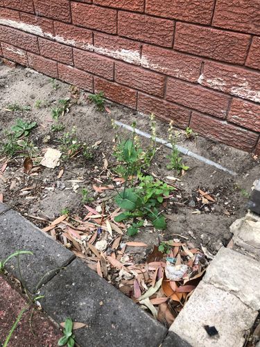 IMG_0561.jpeg IMG_0561.jpeg