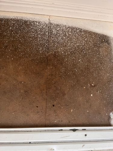 IMG_9865.jpeg IMG_9865.jpeg