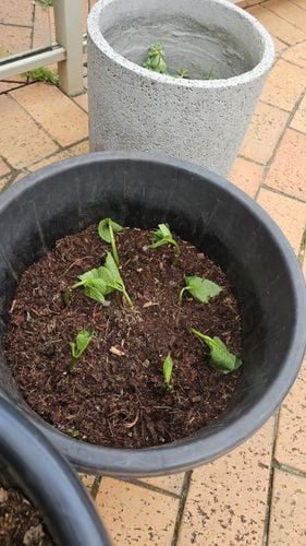 1000030630.jpg 1000030630.jpg