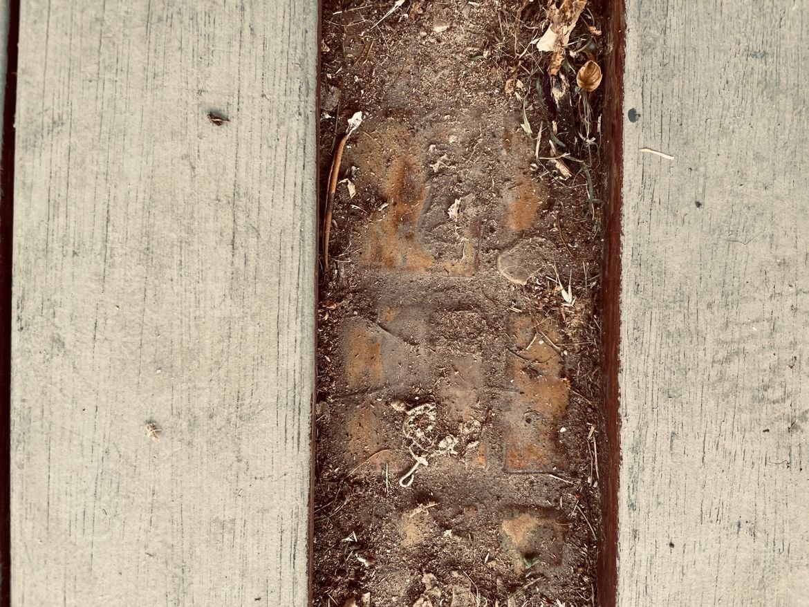 IMG_5833.jpeg IMG_5833.jpeg