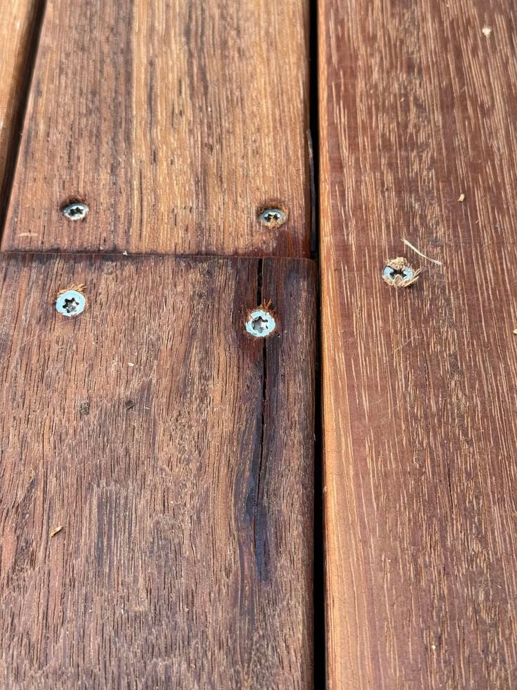 462572685_1207557640315151_8024031039533632475_n.jpg 462572685_1207557640315151_8024031039533632475_n.jpg