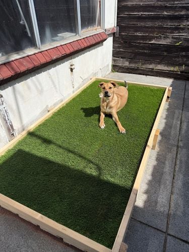 IMG_3336.jpeg IMG_3336.jpeg