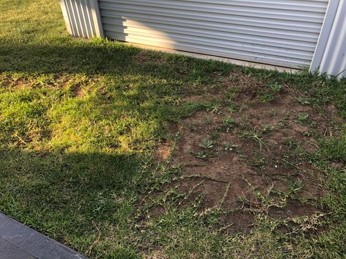 EE03CC91-AD72-4D80-9711-31866BA28B2E.jpeg EE03CC91-AD72-4D80-9711-31866BA28B2E.jpeg