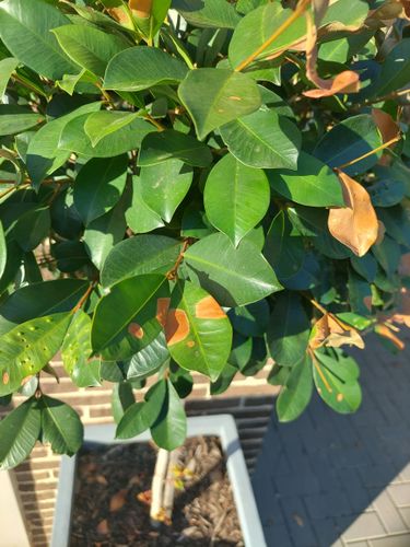 20221230_073729.jpg 20221230_073729.jpg