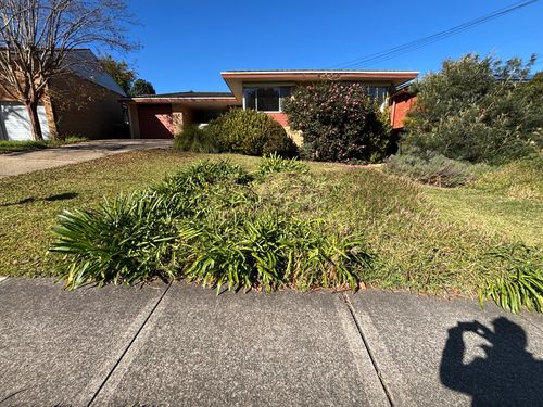 IMG_4371.jpeg IMG_4371.jpeg