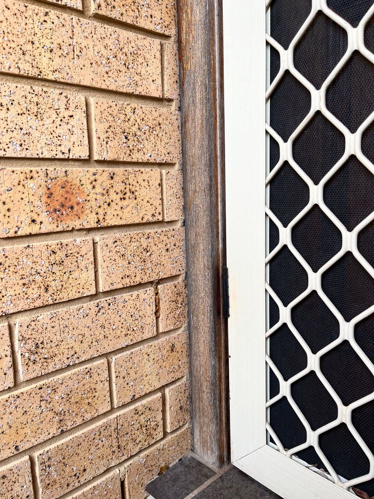 IMG_8944.jpeg IMG_8944.jpeg