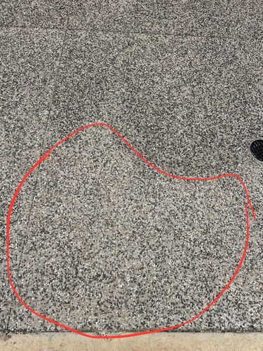 IMG_9977.jpeg IMG_9977.jpeg