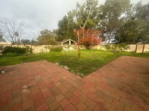 IMG_3581.jpeg IMG_3581.jpeg