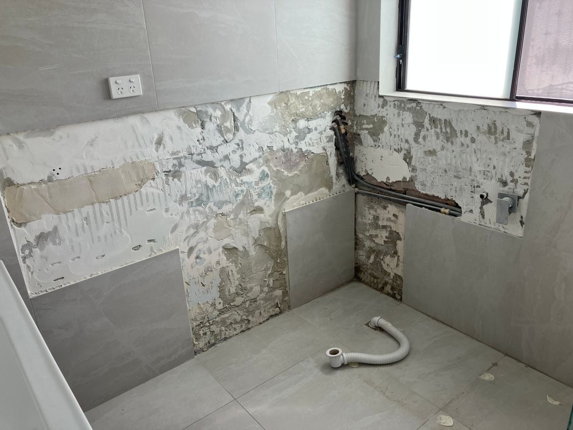 IMG_7245.jpg IMG_7245.jpg