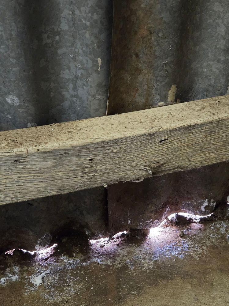 20250607_133052.jpg 20250607_133052.jpg