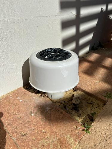 IMG_1638.jpeg IMG_1638.jpeg