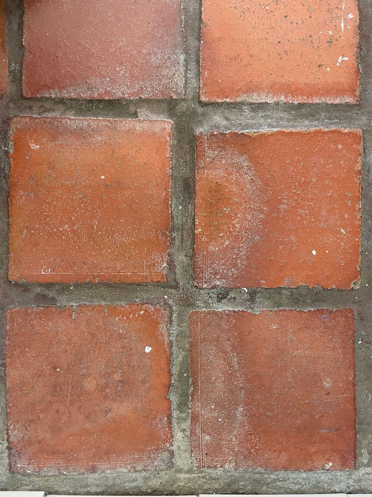 IMG_5120.JPG IMG_5120.JPG