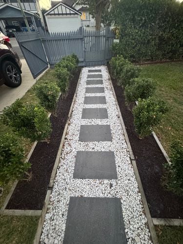 IMG_8955.jpeg IMG_8955.jpeg