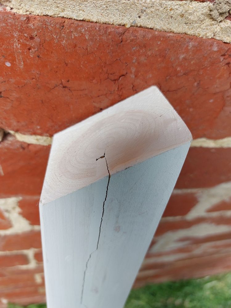 photo-4.jpg photo-4.jpg