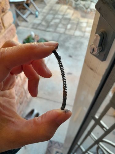 20231002_141441.jpg 20231002_141441.jpg