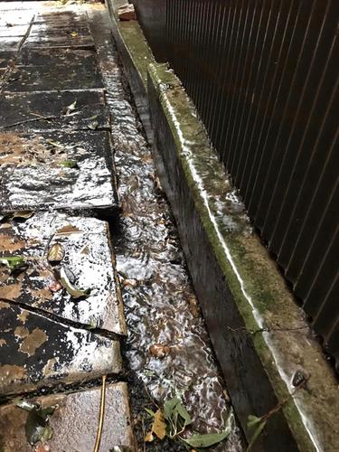 50 02-07-2022.jpg 50 02-07-2022.jpg