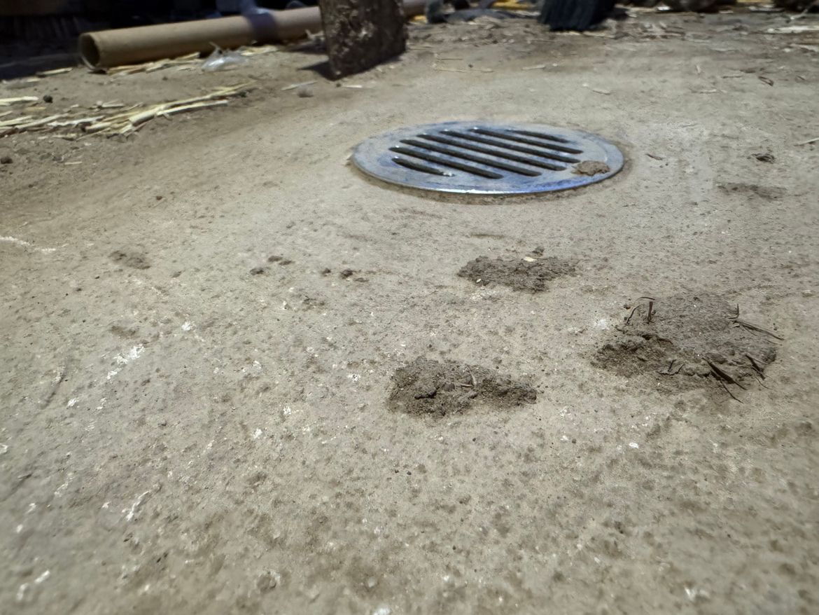 IMG_2444.jpeg IMG_2444.jpeg