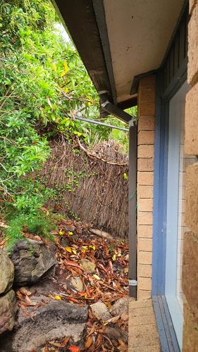 20250110_110511.jpg 20250110_110511.jpg