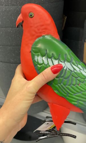 E478A0B7-18BA-4423-BF44-C4A2CF62A23C.jpeg E478A0B7-18BA-4423-BF44-C4A2CF62A23C.jpeg