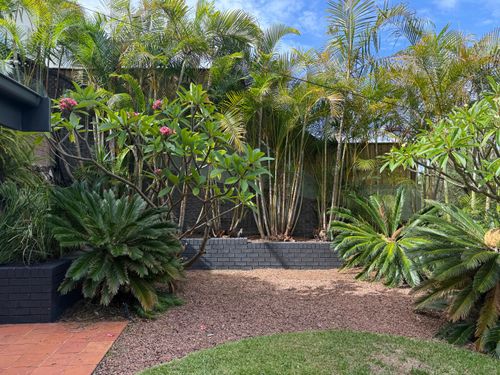 IMG_1806.jpeg IMG_1806.jpeg