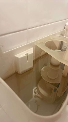 IMG_6315.jpeg IMG_6315.jpeg