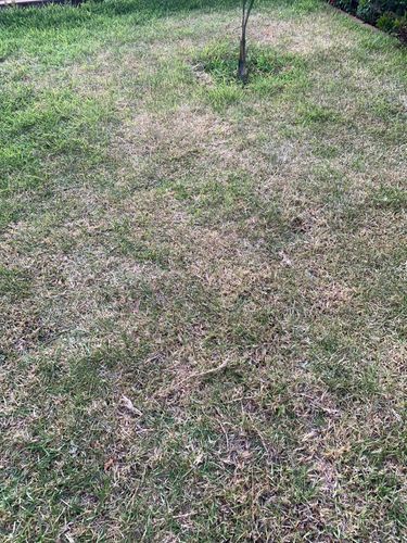 IMG_9762.jpeg IMG_9762.jpeg