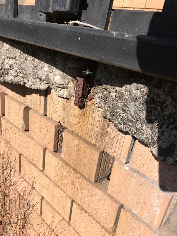 01 17-03-2023.jpg 01 17-03-2023.jpg