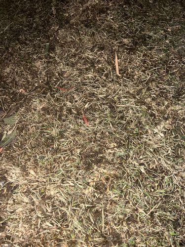 IMG_4951.jpeg IMG_4951.jpeg