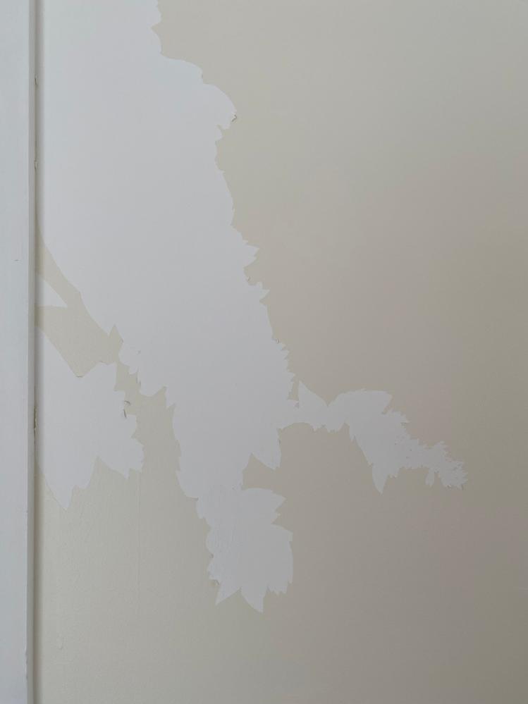 IMG_4030.jpeg IMG_4030.jpeg