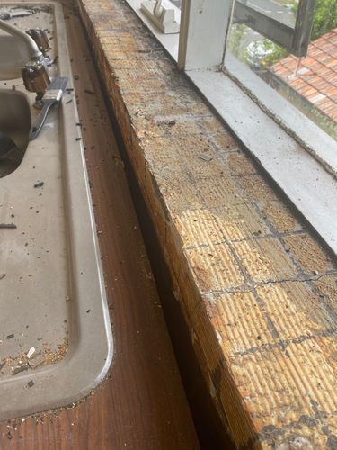 IMG_0339.jpeg IMG_0339.jpeg