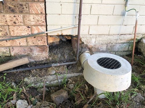 C0A59A5A-7DBC-4203-8D78-77D18EE26E1A.jpeg C0A59A5A-7DBC-4203-8D78-77D18EE26E1A.jpeg