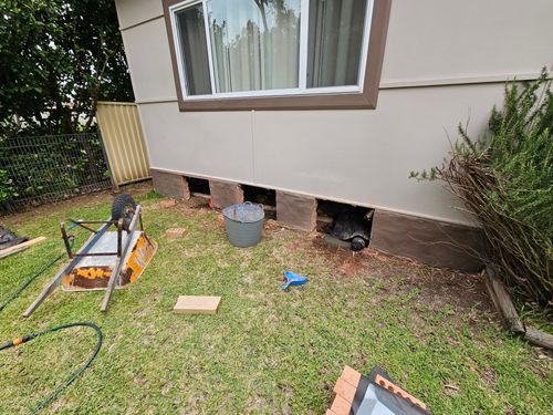 1000029711.jpg 1000029711.jpg