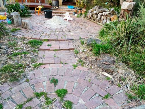 IMG20230209194946.jpg IMG20230209194946.jpg