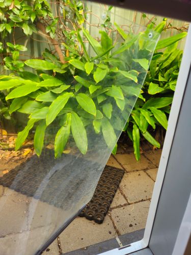 1000008151.jpg 1000008151.jpg