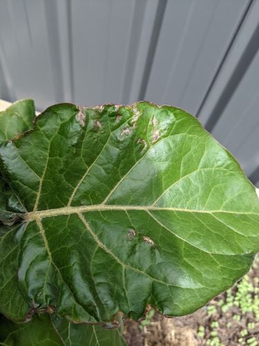 PXL_20211013_023432193.jpg PXL_20211013_023432193.jpg