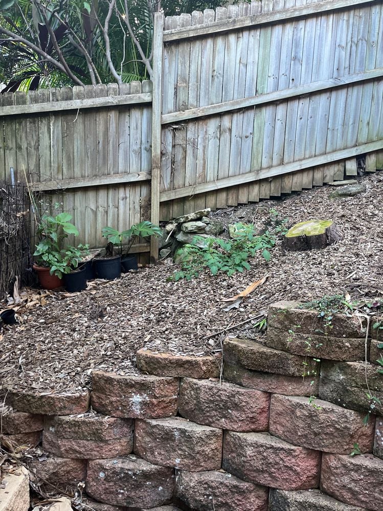 IMG_4657.jpg IMG_4657.jpg