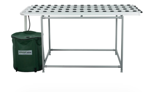 1000008531.png 1000008531.png